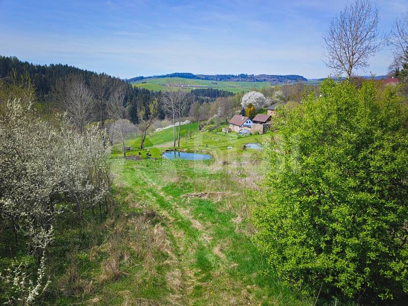 Prodej výjimečného pozemku s krásným výhledem 10 000 m2, Hořice na Šumavě