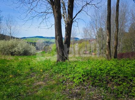 Prodej - pozemek pro bydlení, 10 000 m²