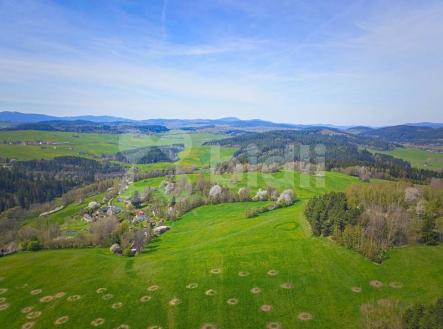 Prodej - pozemek pro bydlení, 10 000 m²