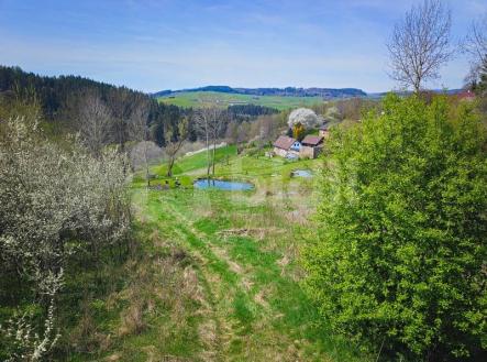 Prodej - pozemek pro bydlení, 10 000 m²