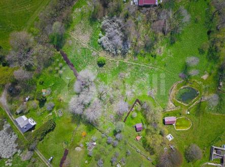 Prodej - pozemek pro bydlení, 10 000 m²