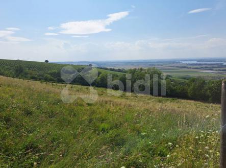 Prodej - pozemek, trvalý travní porost, 2 350 m²