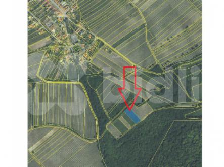 Prodej - pozemek, trvalý travní porost, 2 350 m²