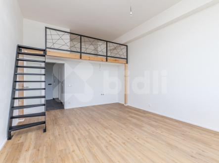 Prodej bytu, 1+kk, 47 m²