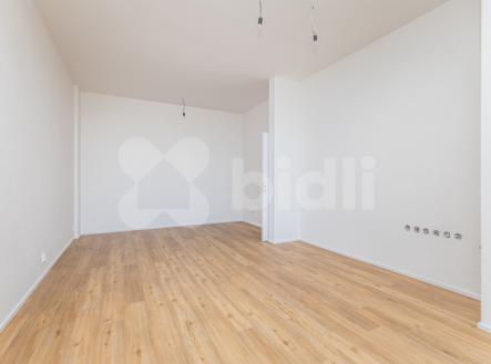 Prodej bytu, 1+kk, 43 m²