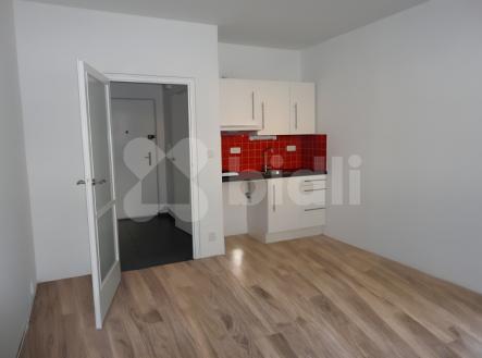 Prodej bytu, 1+kk, 23 m²