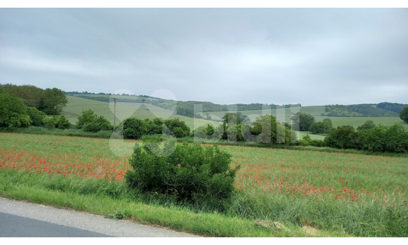 Soubor pozemků v kú Klobouky u Brna, 32 km východně od Brna