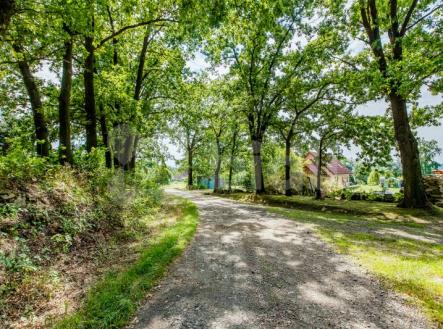 Prodej pozemku pro bydlení, 2 259 m²