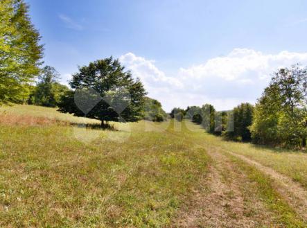 Prodej - pozemek, trvalý travní porost, 14 836 m²