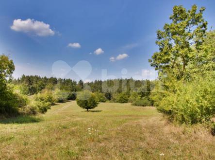 Prodej - pozemek, trvalý travní porost, 14 836 m²