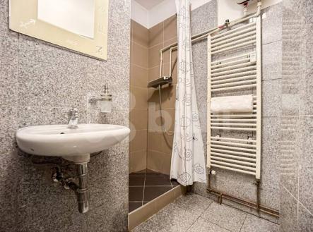 Investiční byt 24,1 m2 Praha 1 - Nové Město, Školská ul.