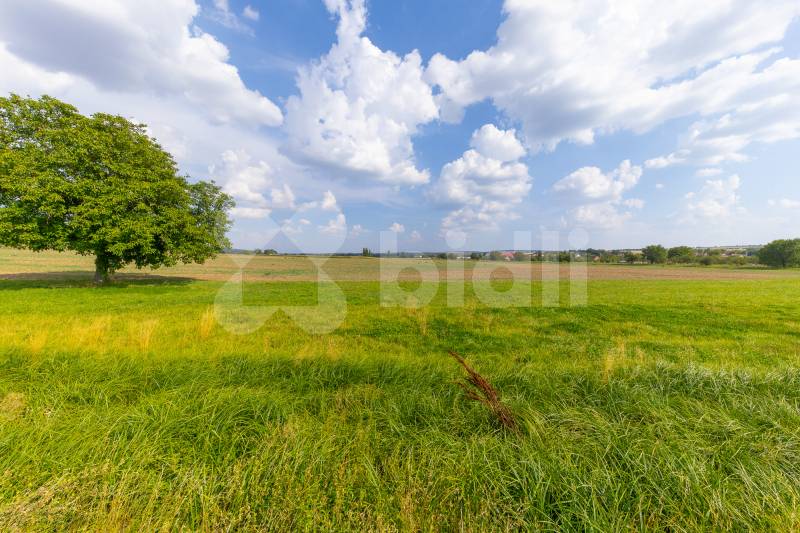 Prodej zahrady 1.563 m2, Hodějice, Slavkov u Brna