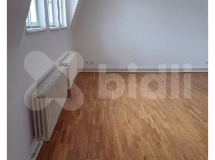 Pronájem bytu, 2+kk, 85 m²