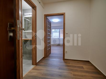 Prodej bytu, 1+kk, 29 m²