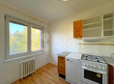 Pronájem bytu, 1+1, 31 m²