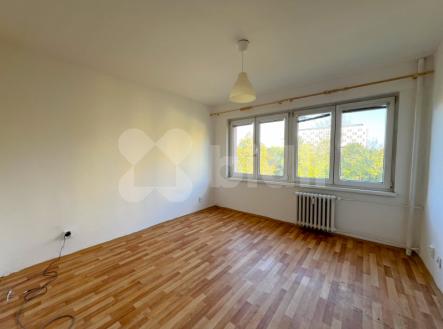 Pronájem bytu, 1+1, 31 m²