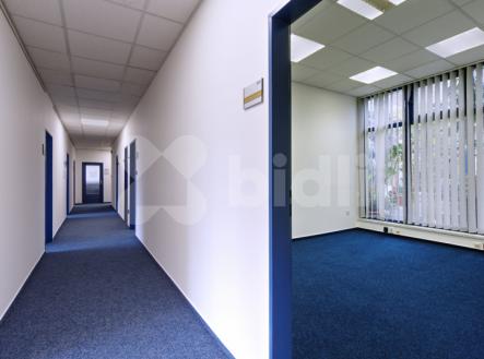 Pronájem kanceláře, 125 m²