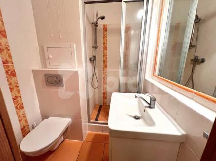 Pronájem bytu, 1+kk, 29 m²