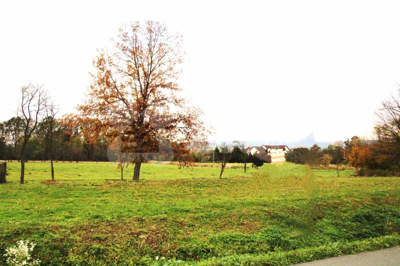 Prodej stavebního pozemku o výměře 1 375 m2, Mankovice