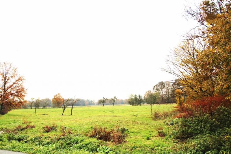 Prodej stavebního pozemku o výměře 1 375 m2, Mankovice