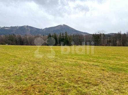 Prodej - pozemek, trvalý travní porost, 5 500 m²