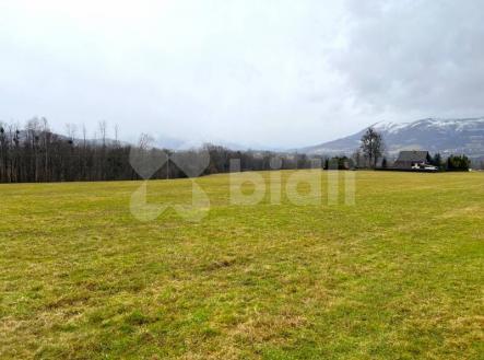 Prodej - pozemek, trvalý travní porost, 5 500 m²