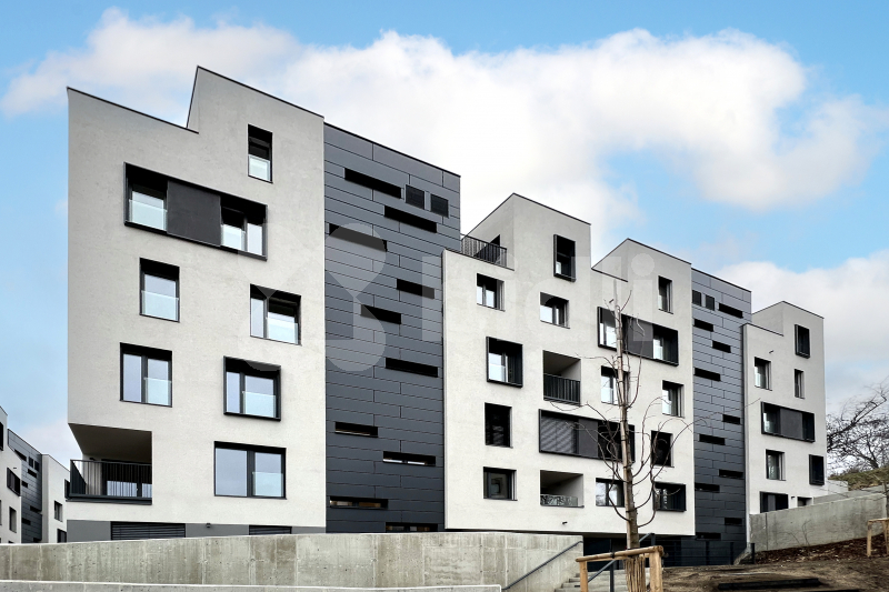 Fotku se nepodařilo načíst.