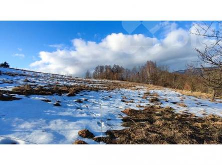 Prodej - pozemek, trvalý travní porost, 3 998 m²