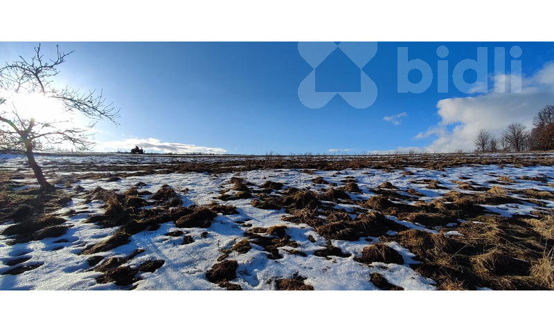 Prodej pozemku / louky 3998m2 v Krkonoších