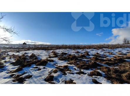 Prodej pozemku, trvalý travní porost, 3 998 m²