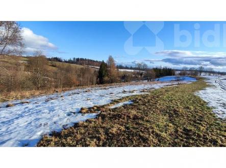 Prodej pozemku, trvalý travní porost, 3 998 m²