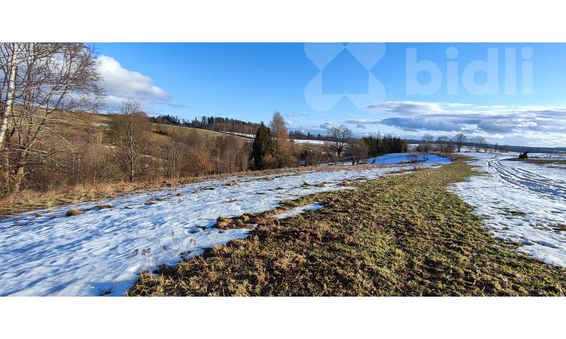 Prodej pozemku / louky 3998m2 v Krkonoších