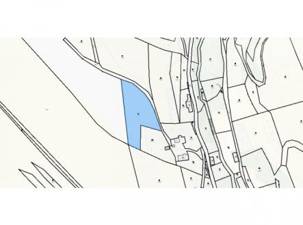 Prodej pozemku, trvalý travní porost, 3 998 m²