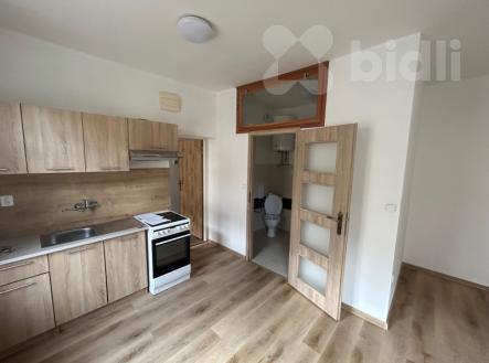 Pronájem bytu, 1+kk, 28 m²