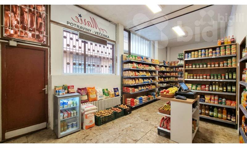 Prodej obchodního prostoru, 100m2, Chomutov, ul. Písečná