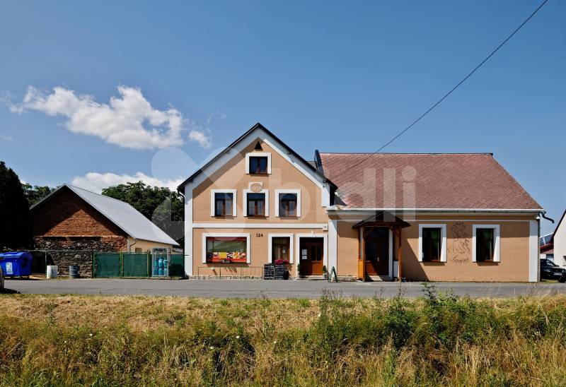 Prodej rodinného domu s venkovním posezením, obchodem, sálem, vinárnou, bytem 4+1, Javorník