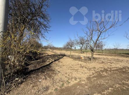 Prodej - pozemek pro bydlení, 1 000 m²