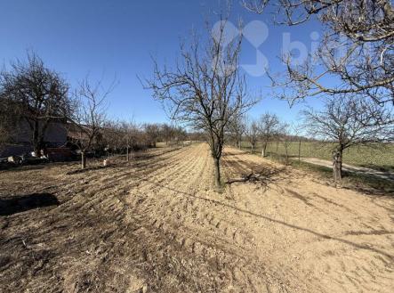 Prodej - pozemek pro bydlení, 1 000 m²