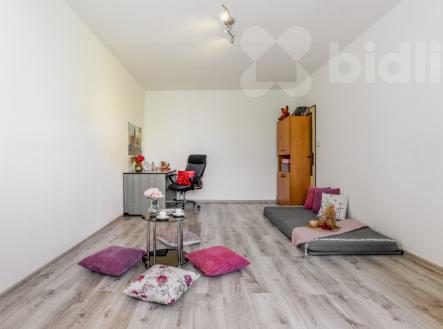 Prodej bytu 2+1, Větrná ul., Č. Budějovice