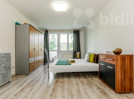 Prodej bytu 2+1, Větrná ul., Č. Budějovice