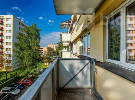 Prodej bytu 2+1, Větrná ul., Č. Budějovice