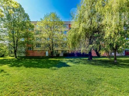 Prodej bytu 2+1, Větrná ul., Č. Budějovice