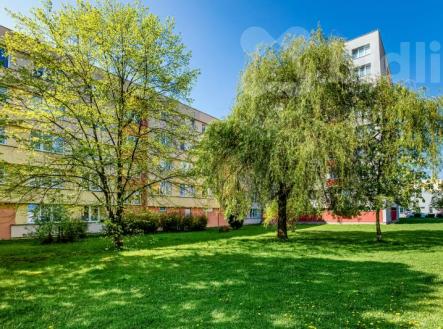 Prodej bytu 2+1, Větrná ul., Č. Budějovice