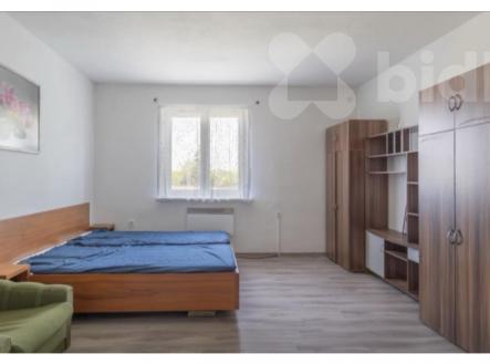 Pronájem bytu, 1+kk, 18 m²