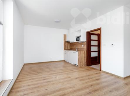 Prodej bytu, 1+kk, 39 m²