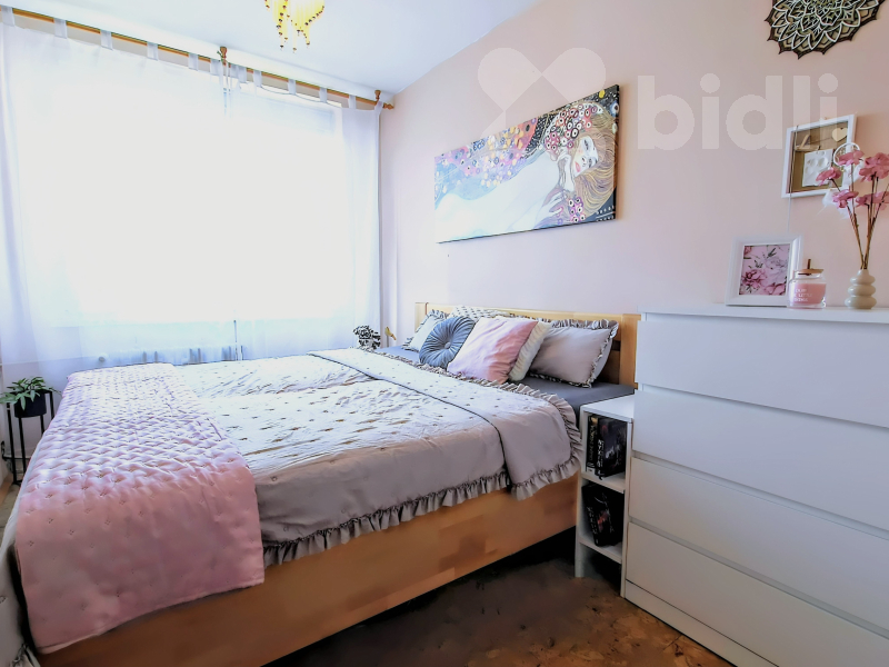 rodinné 3kk na Žižkově