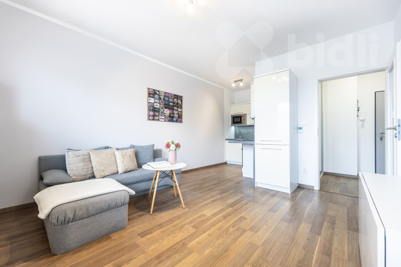 Pronájem bytu 1+kk (30 m²) s lodžií v Přezleticích