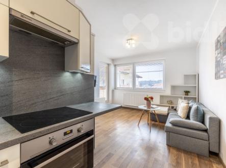 Pronájem bytu, 1+kk, 30 m²