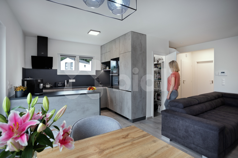 Prodej novostavby rodinného domu 6+kk, 108 m2,  pozemek 376 m2, Pardubice - Doubravice