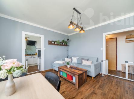 Prodej bytu, 2+1, 44 m²